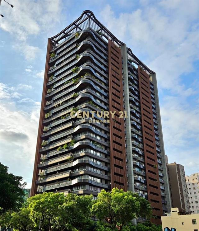 科博雙星正台灣大道黃金店面
