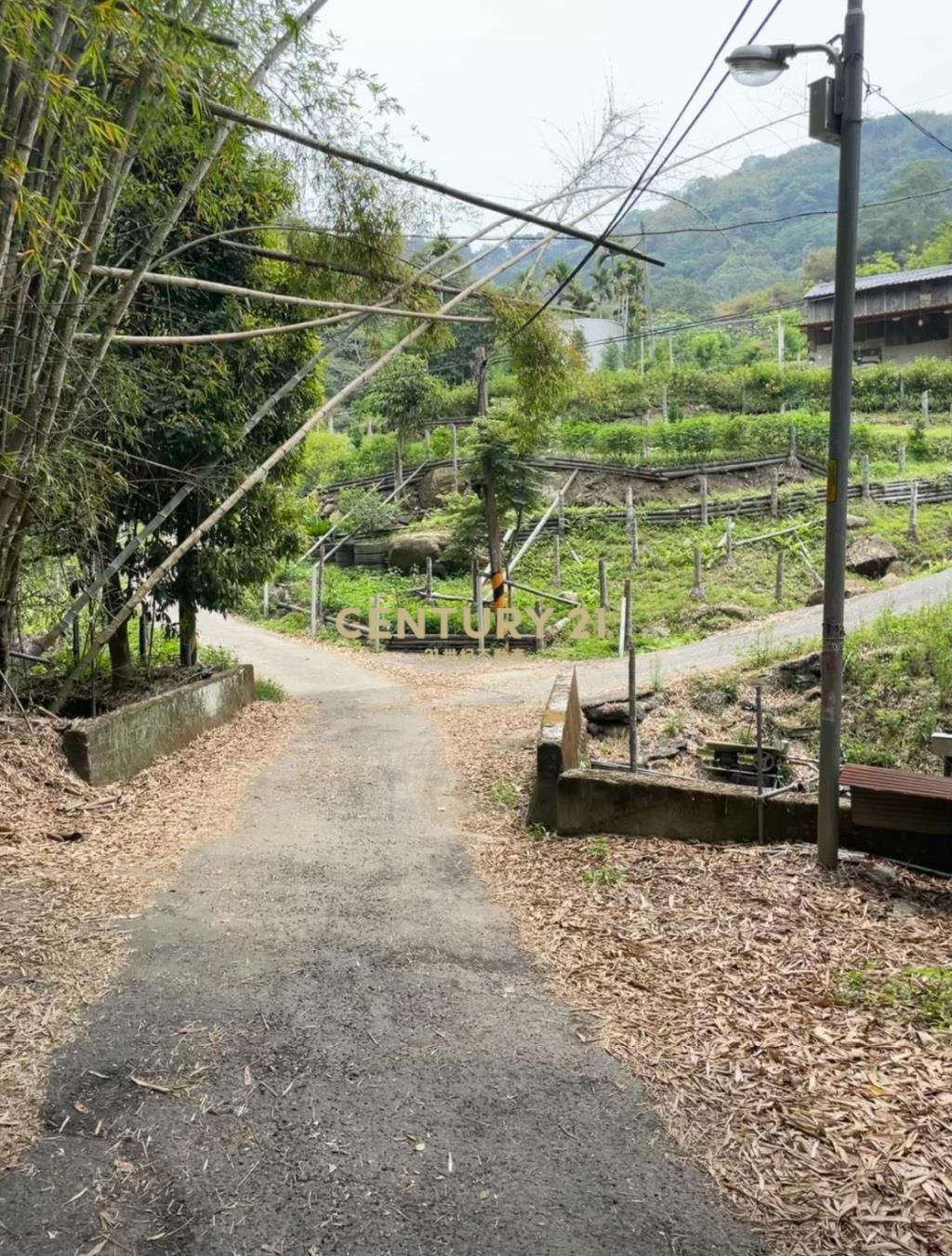 東勢山坡地.農地