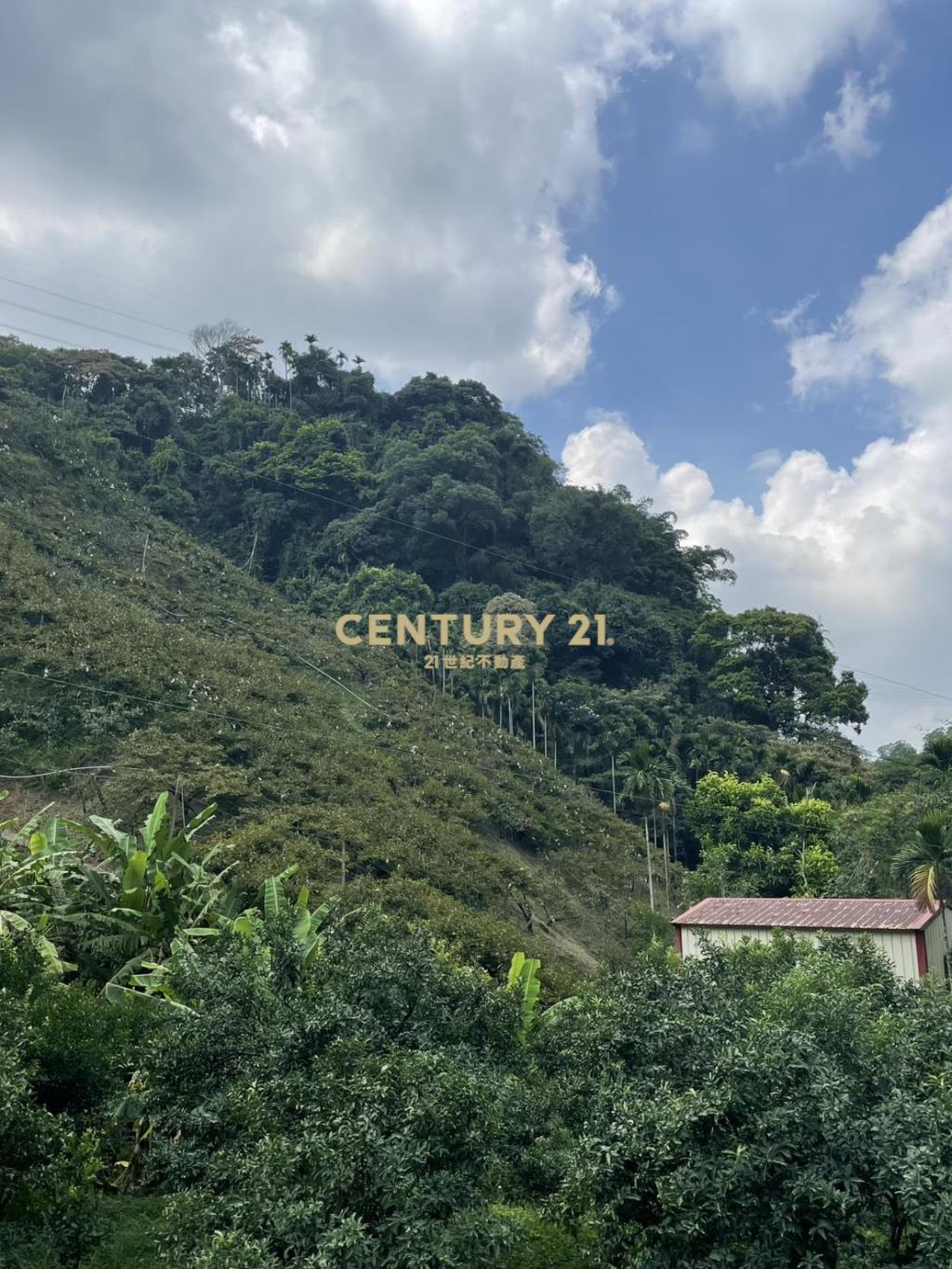 東勢山坡地.農地
