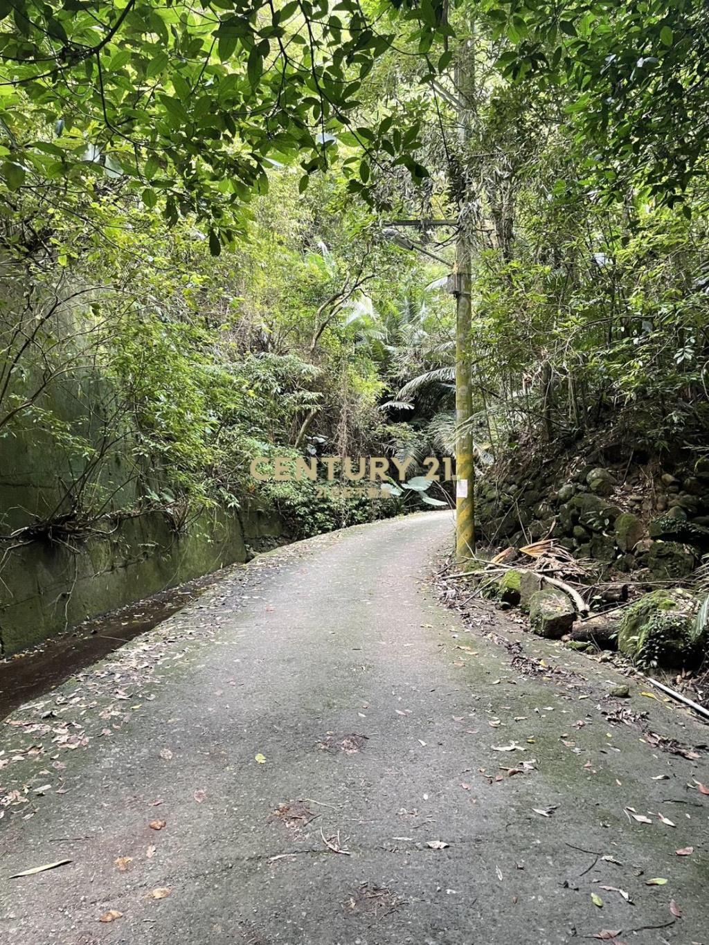東勢山坡地.農地