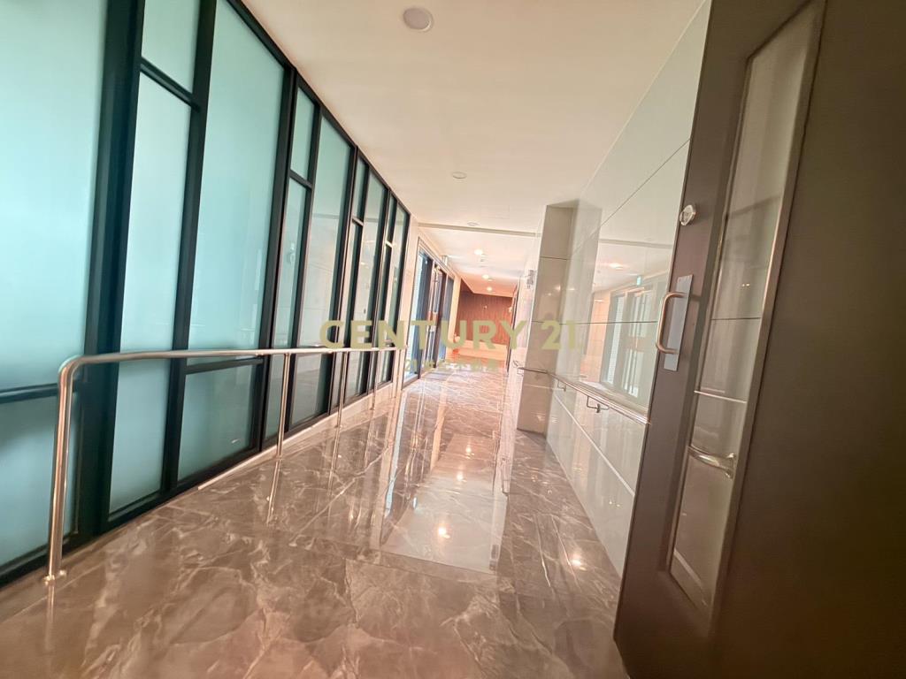 新光特區雙陽台3房平車