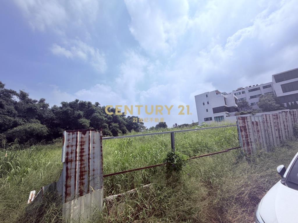 自強段新光田建地