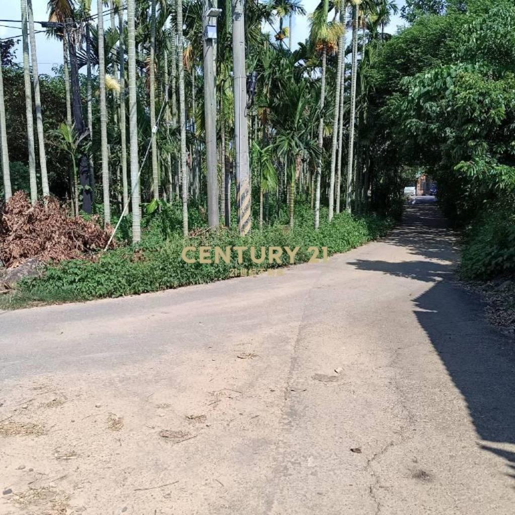 南投土地-南北大庄持分農建地