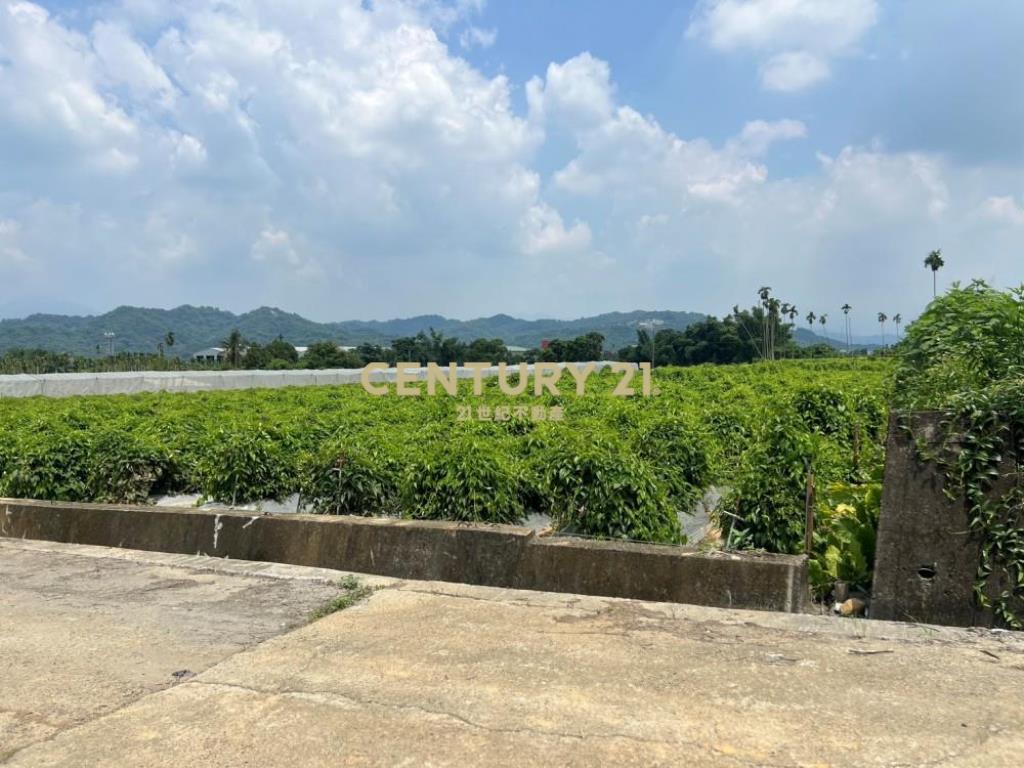 名間土地-名間大埔巷1334坪美田
