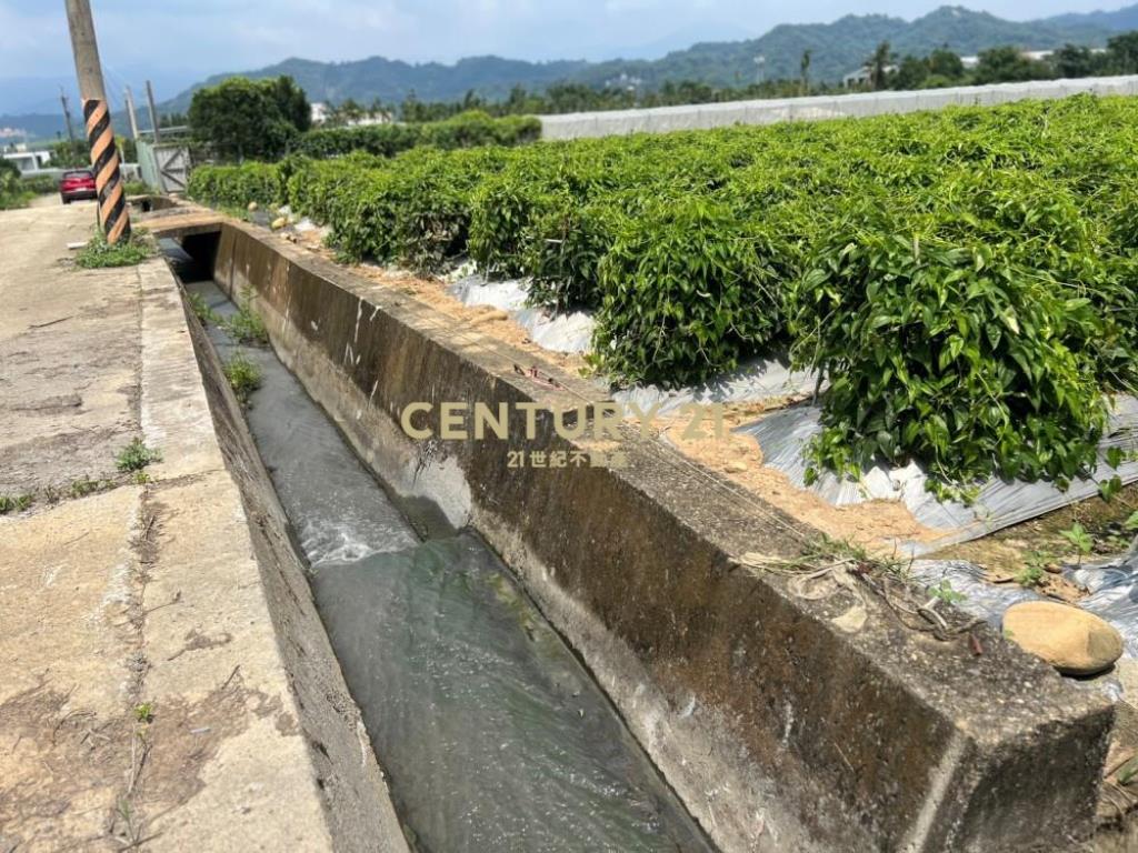 名間土地-名間大埔巷1334坪美田