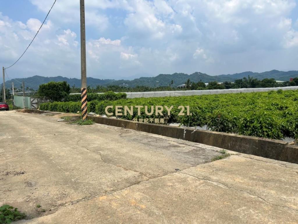 名間土地-名間大埔巷1334坪美田