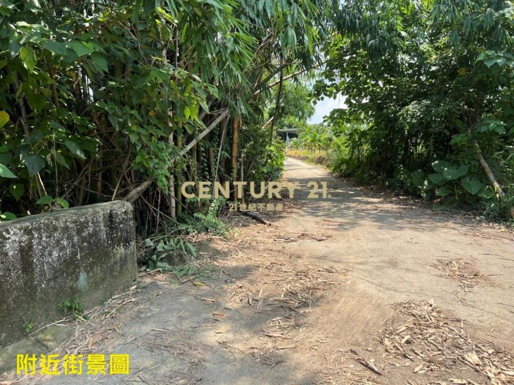 名間土地-名間大埔巷1334坪美田