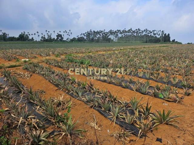 南投土地-南投猴探井農地(一+二)