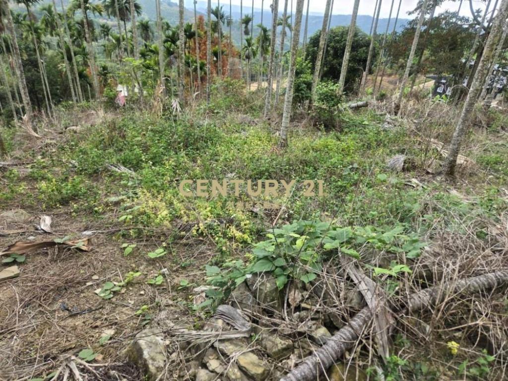 南投土地-中寮大馬路瀧林885坪農地