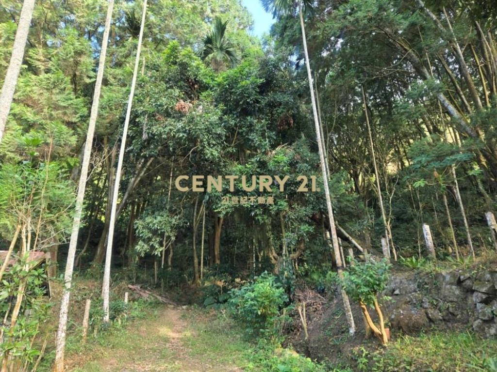 南投土地-中寮大馬路瀧林885坪農地