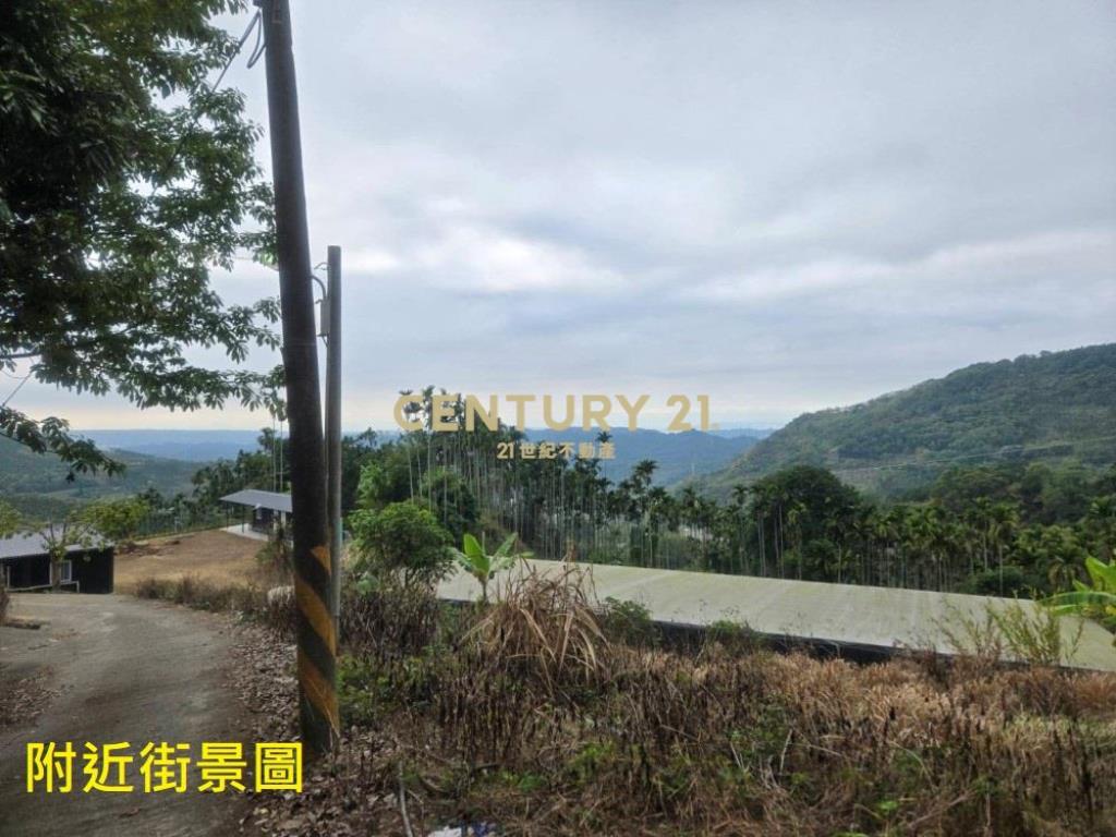 南投土地-中寮大馬路瀧林885坪農地