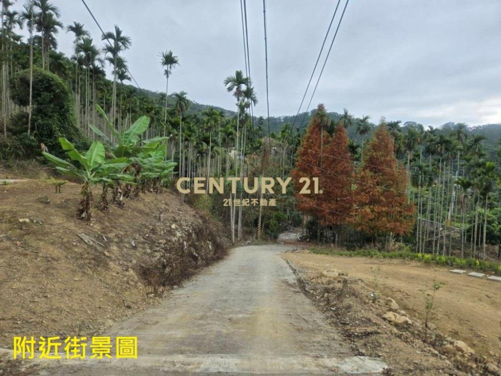 南投土地-中寮大馬路瀧林885坪農地