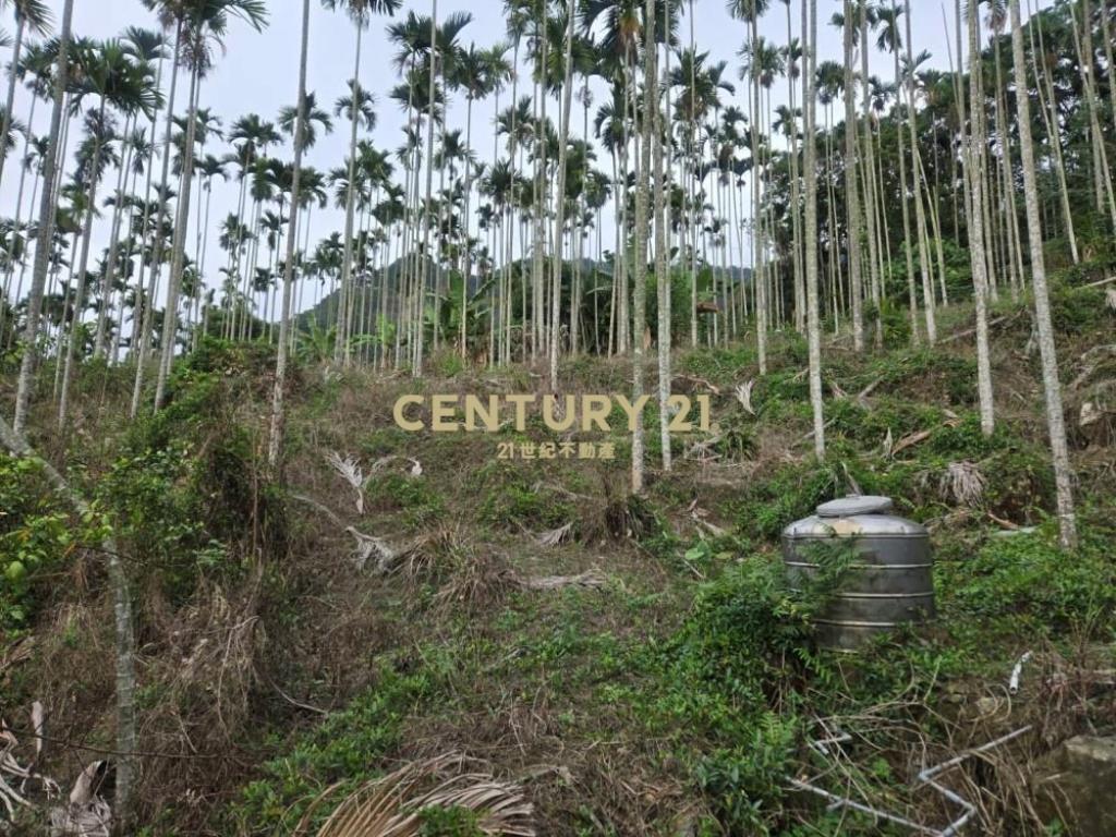 南投土地-中寮大馬路瀧林885坪農地