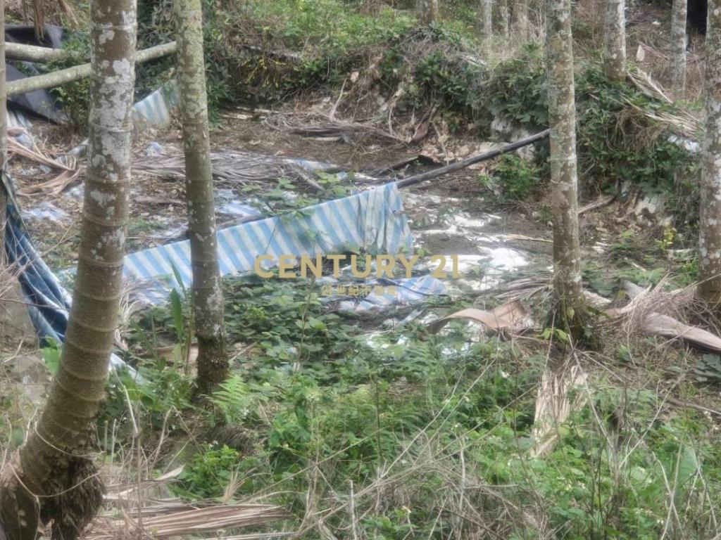 南投土地-中寮大馬路瀧林885坪農地