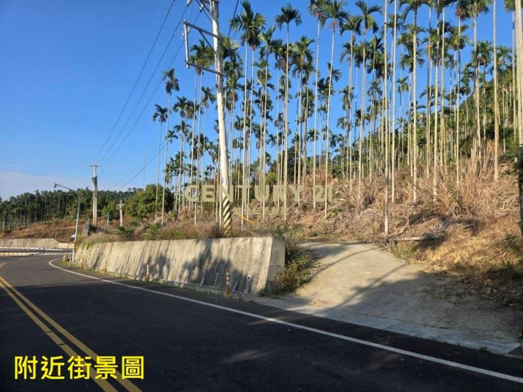 南投土地-中寮大馬路瀧林885坪農地