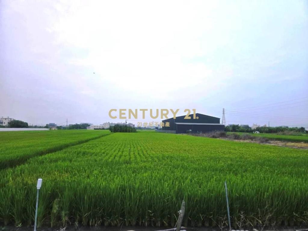 彰化土地-社頭1042坪大面寬美農地