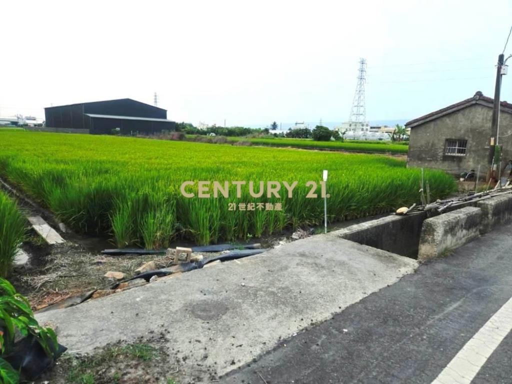 彰化土地-社頭1042坪大面寬美農地