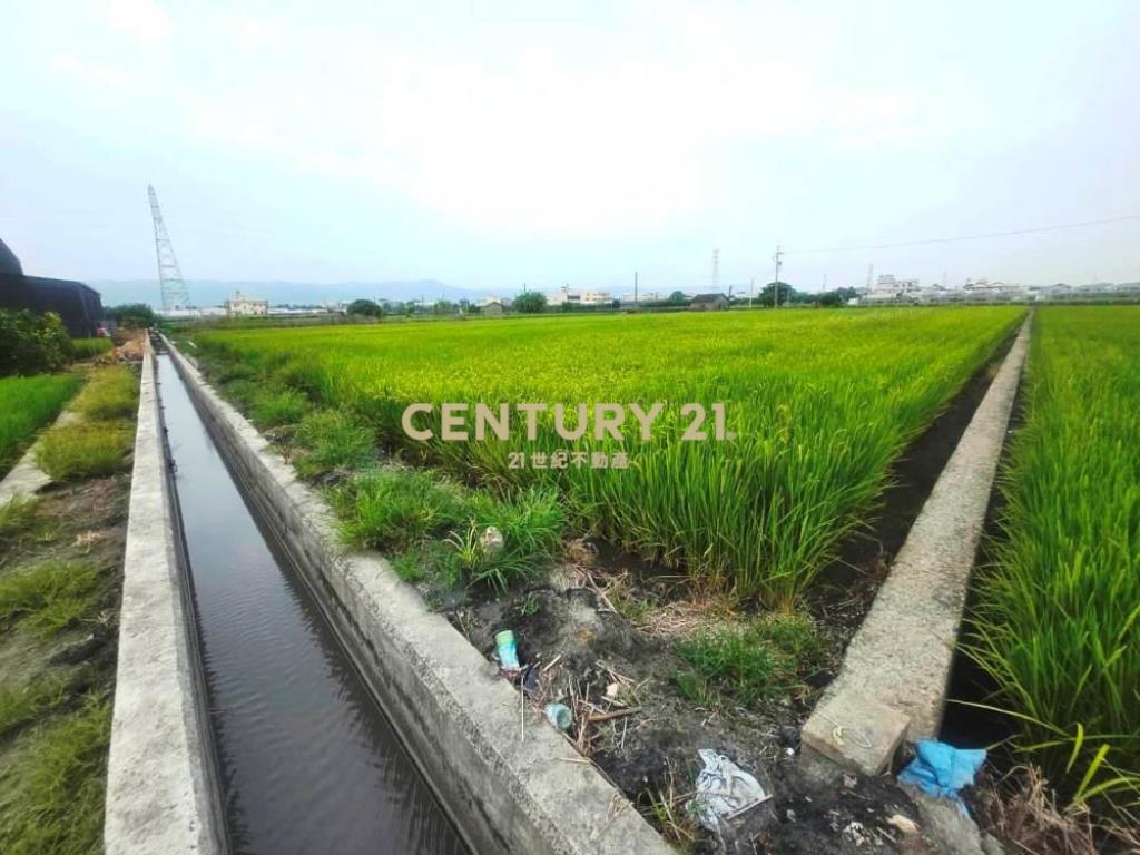 彰化土地-社頭1042坪大面寬美農地