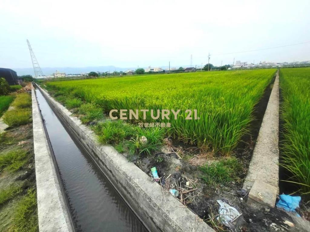 彰化土地-社頭1042坪大面寬美農地