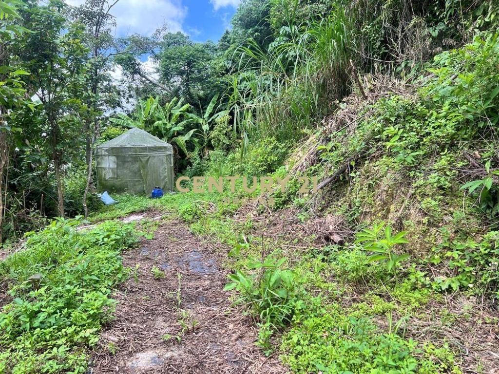南投土地-中寮爽文國小旁石虎有善農地