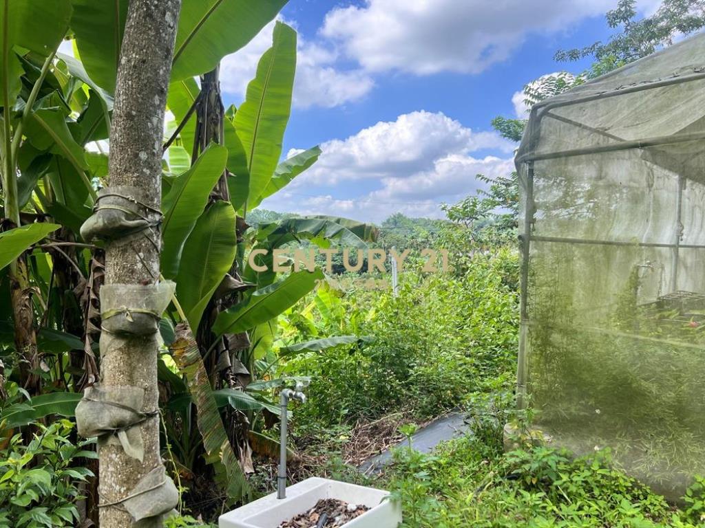 南投土地-中寮爽文國小旁石虎有善農地