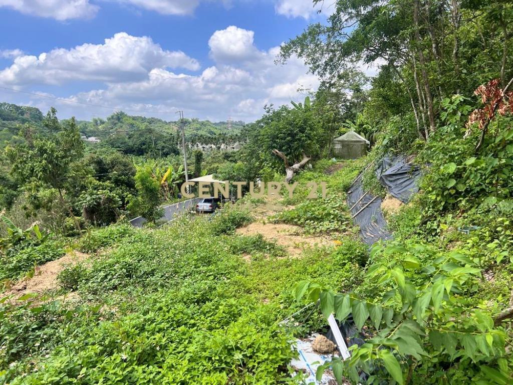 南投土地-中寮爽文國小旁石虎有善農地