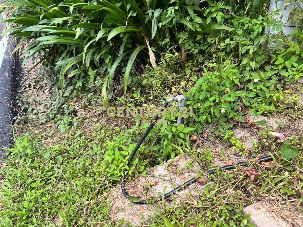 南投土地-中寮爽文國小旁石虎有善農地