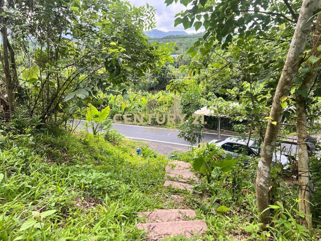 南投土地-中寮爽文國小旁石虎有善農地