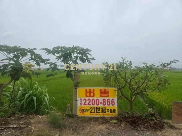 彰化土地-埤頭大路邊794坪持分農地