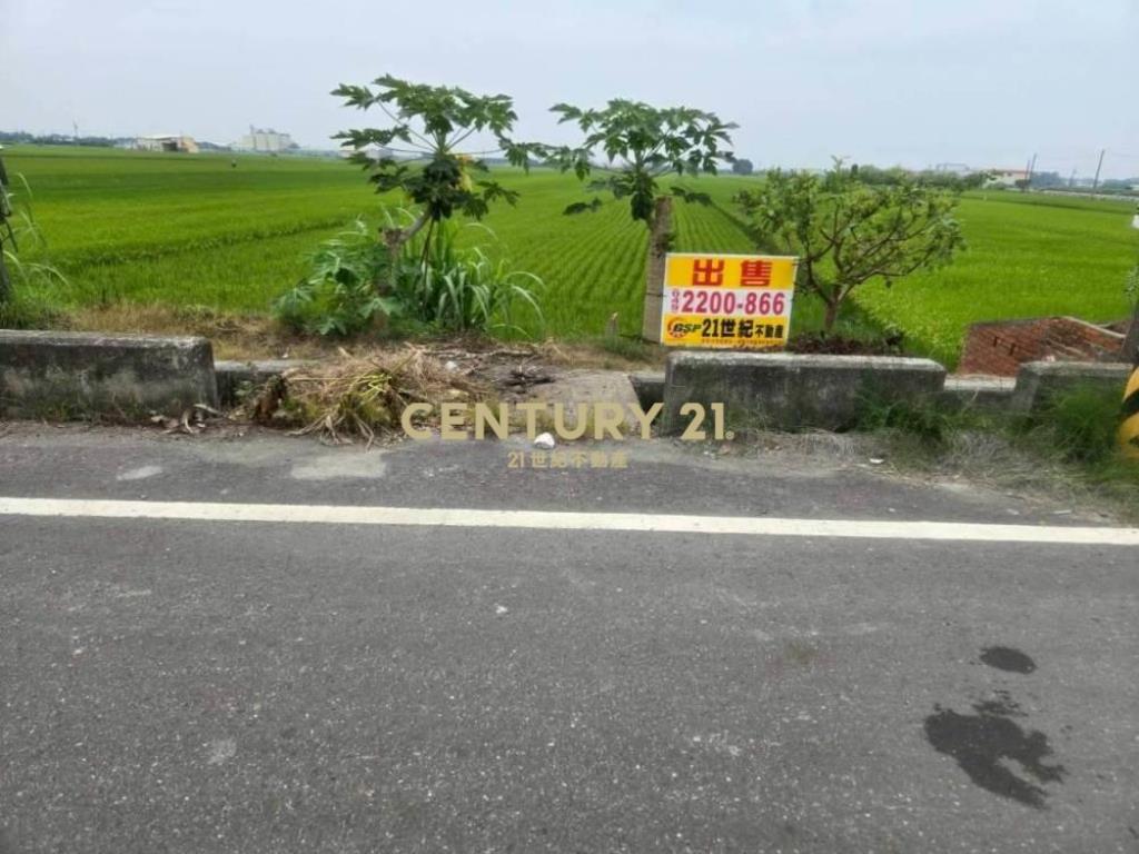 彰化土地-埤頭大路邊794坪持分農地