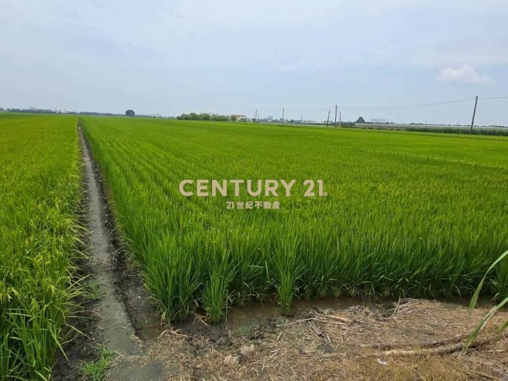 彰化土地-埤頭大路邊794坪持分農地