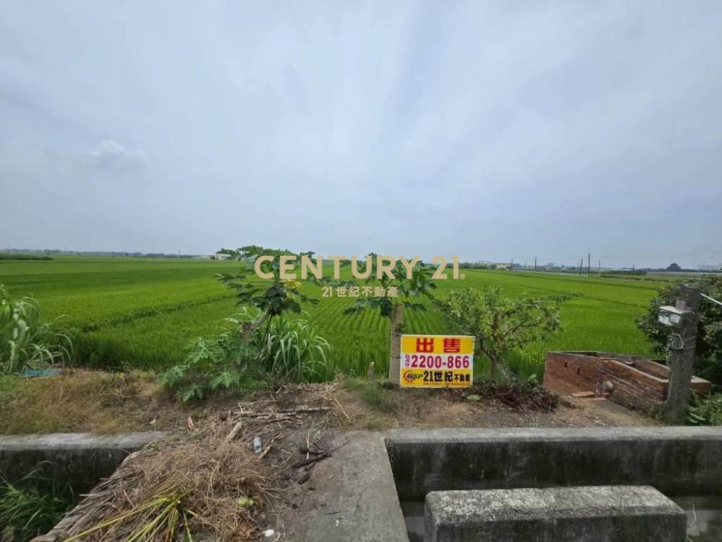 彰化土地-埤頭大路邊794坪持分農地