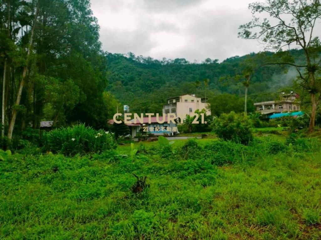 南投土地-鹿谷鄉廣興村休閒農建地