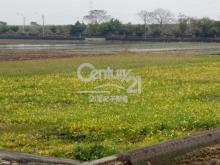 彰化土地-芬園嘉興572坪美農地