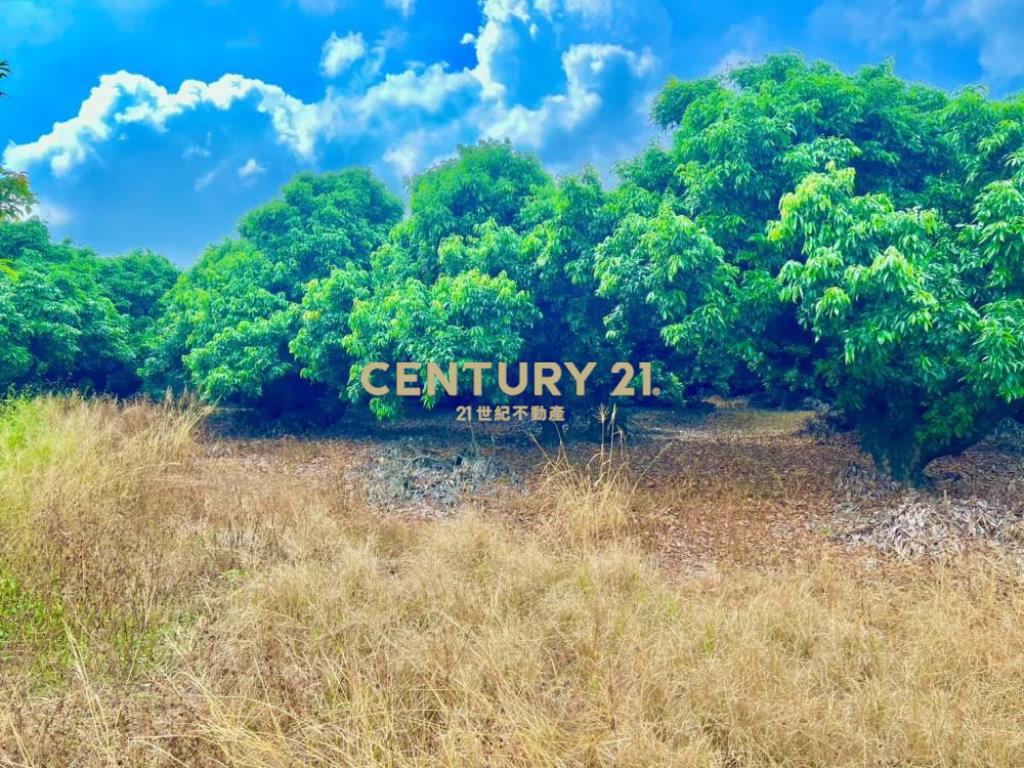 南投土地-吉利超方正景觀農地