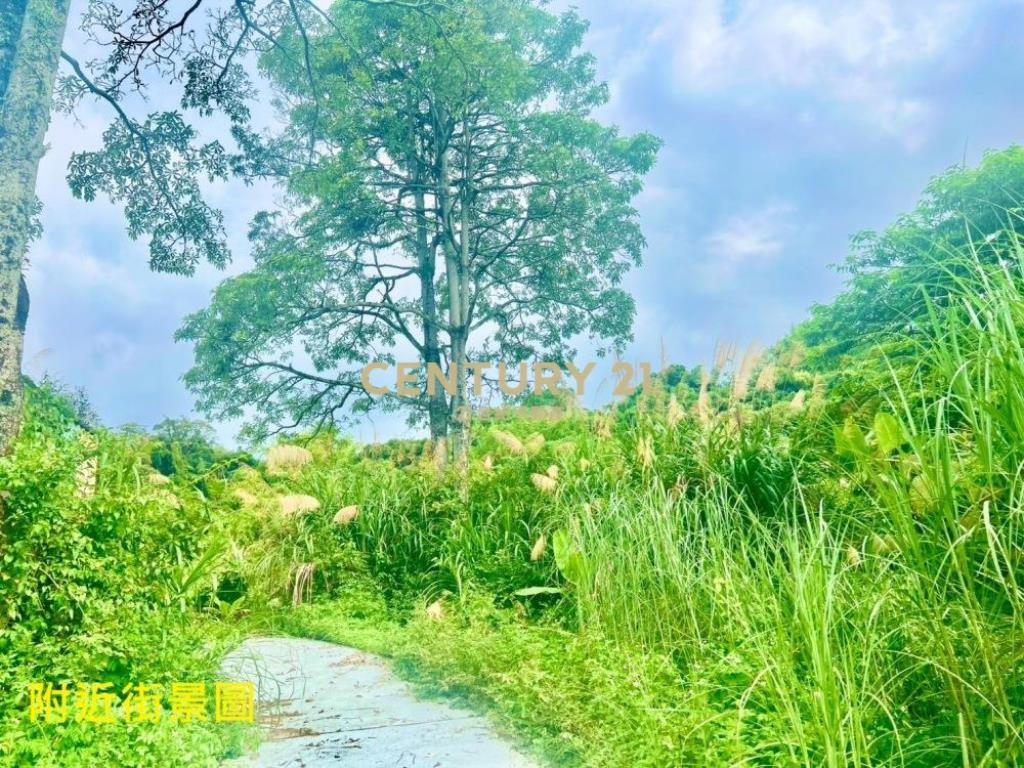 名間土地-名間大坪數低總價農地