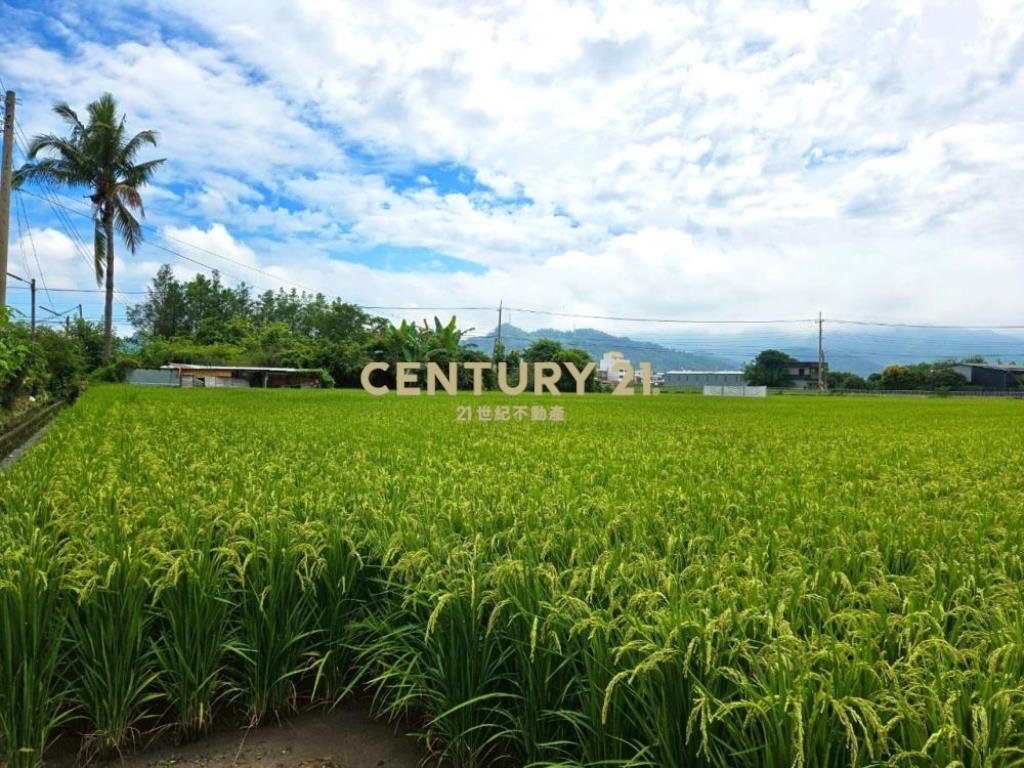 草屯土地-近鳥嘴潭抗通膨置產最佳美田