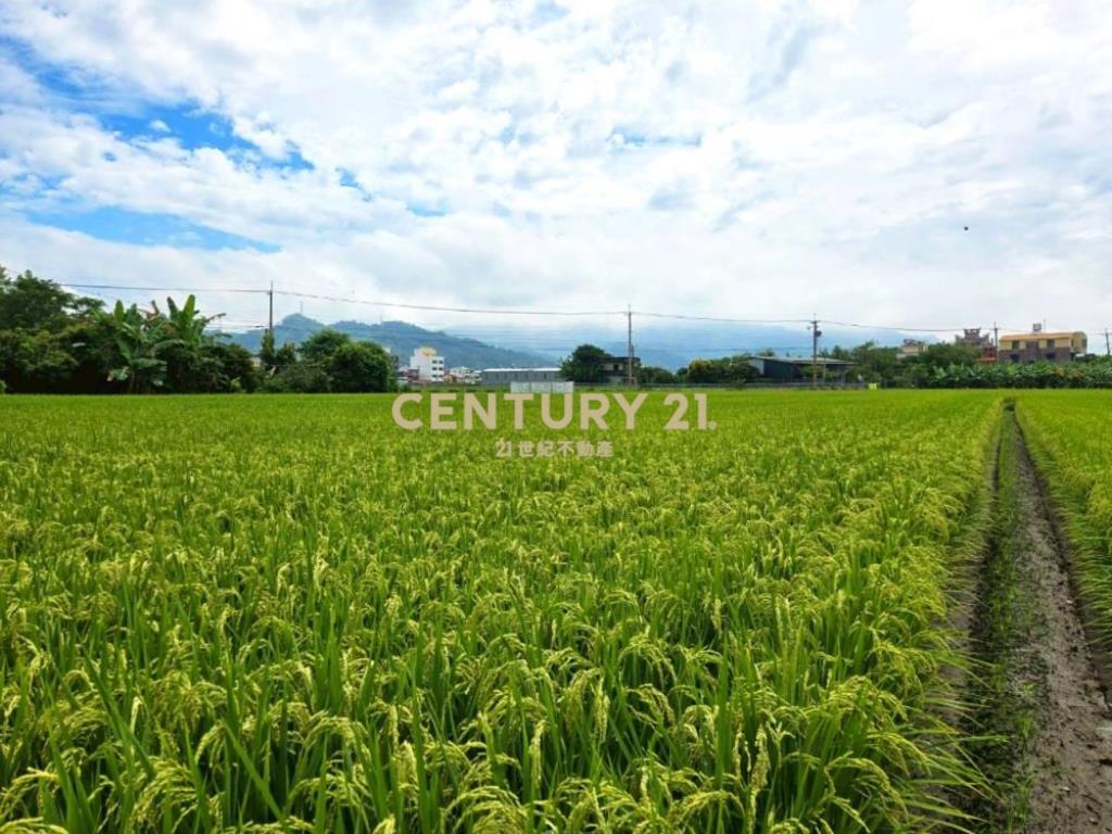 草屯土地-近鳥嘴潭抗通膨置產最佳美田