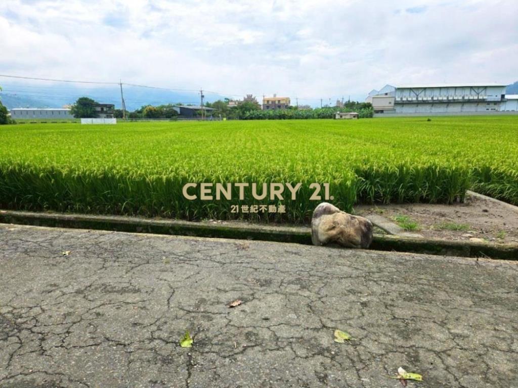 草屯土地-近鳥嘴潭抗通膨置產最佳美田