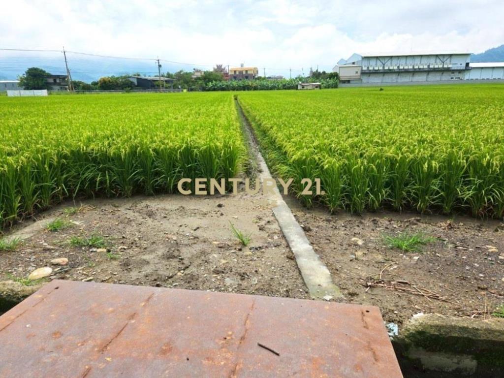 草屯土地-近鳥嘴潭抗通膨置產最佳美田