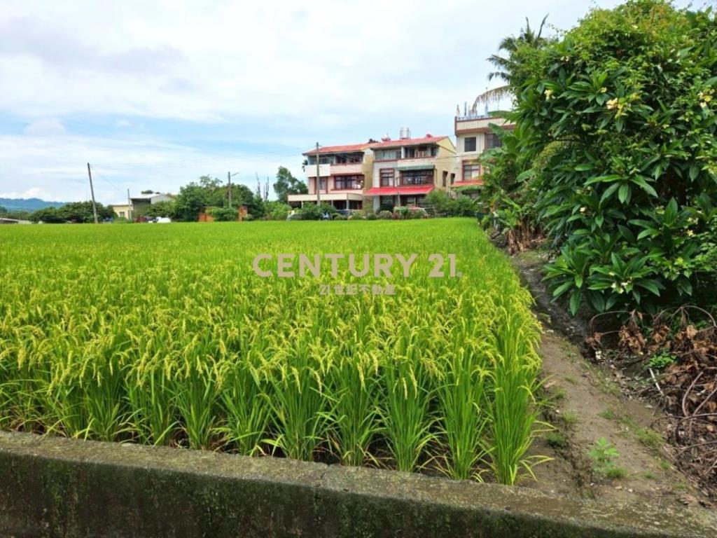 草屯土地-近鳥嘴潭抗通膨置產最佳美田