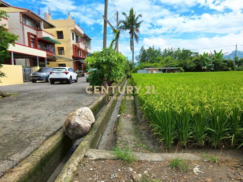 草屯土地-近鳥嘴潭抗通膨置產最佳美田