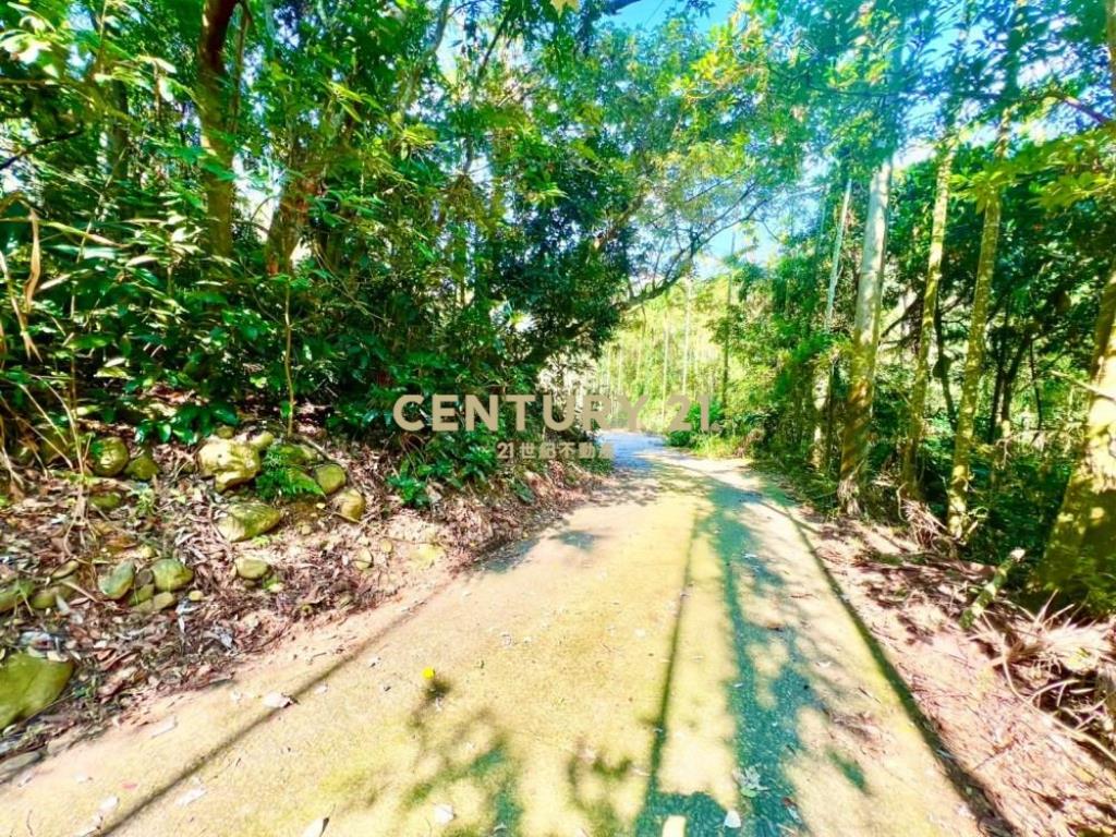 草屯土地-南坪路旁超低總價農地