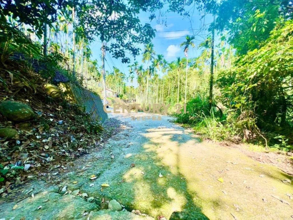 草屯土地-南坪路旁超低總價農地