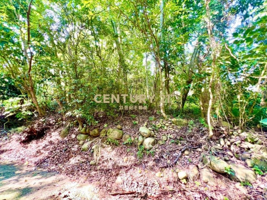 草屯土地-南坪路旁超低總價農地