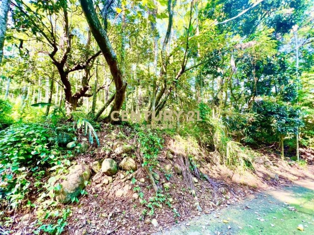 草屯土地-南坪路旁超低總價農地