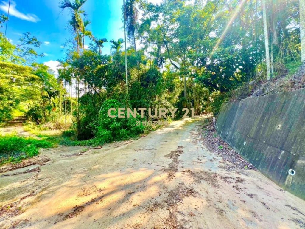 草屯土地-南坪路旁超低總價農地