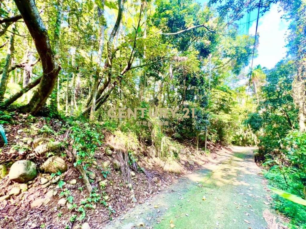 草屯土地-南坪路旁超低總價農地