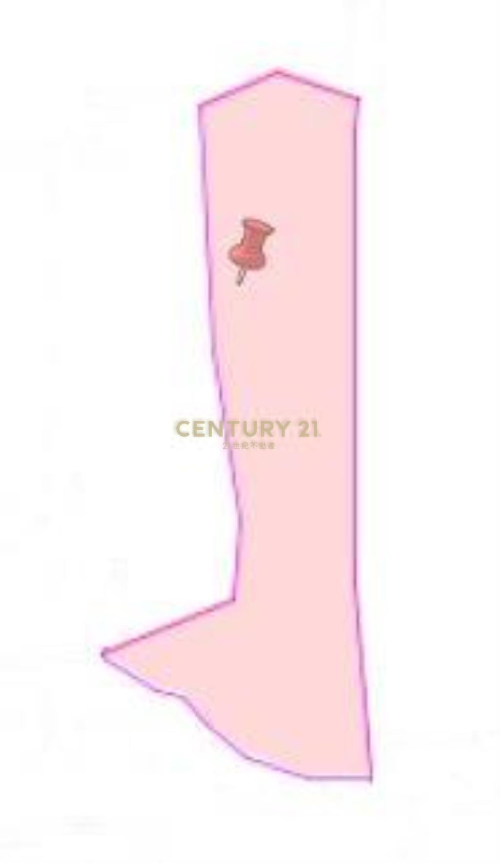 草屯土地-南坪路旁超低總價農地