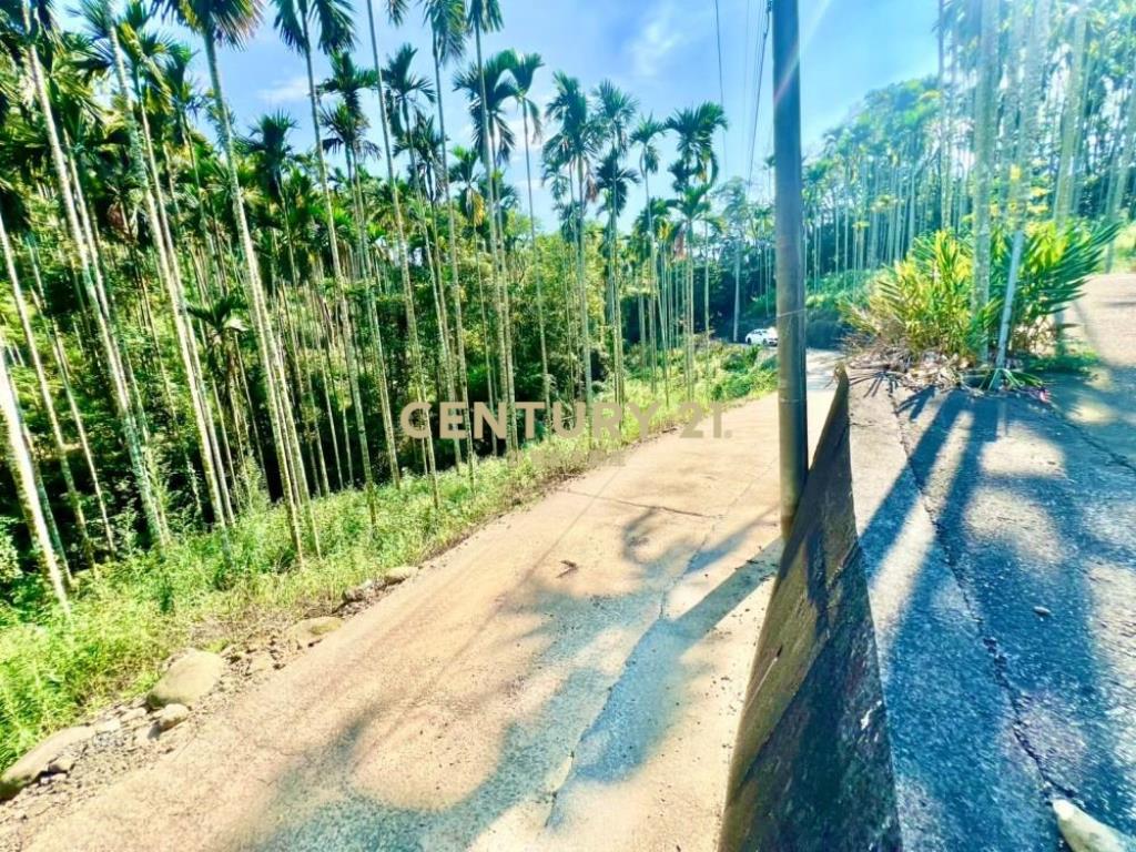 草屯土地-南坪路旁超低總價農地